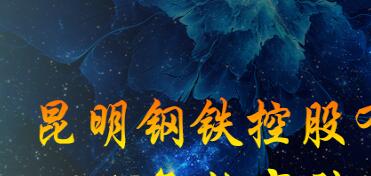 昆鋼集團(tuán)王素琳簡(jiǎn)歷，馬德、陳清泉、王存璘、蘇玲翠、王云萍、錢(qián)永祥、孫小躍、官德海、高冰、杜陸軍、趙永平領(lǐng)導(dǎo)班子